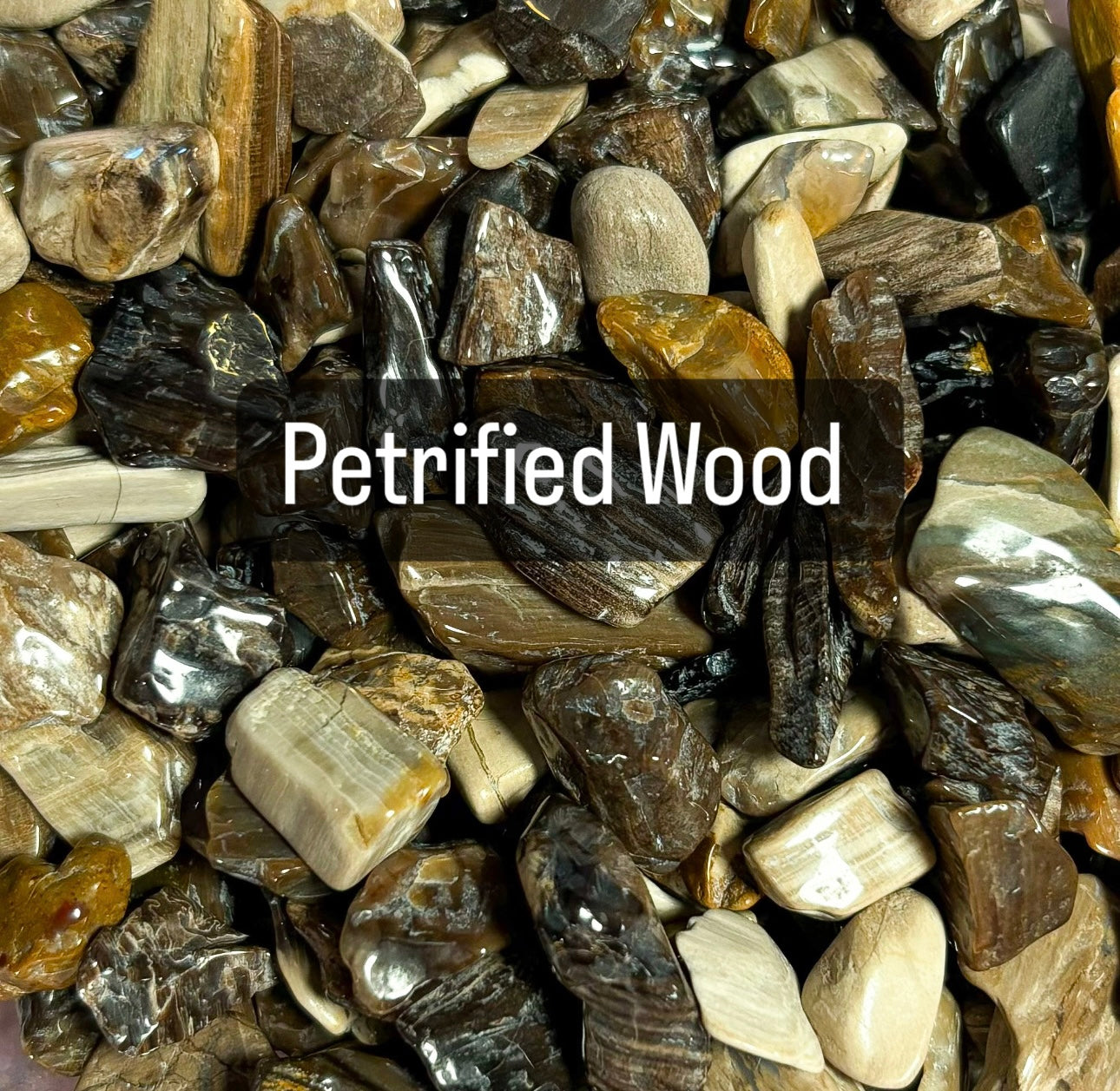 Petrified Wood Crystal Chips