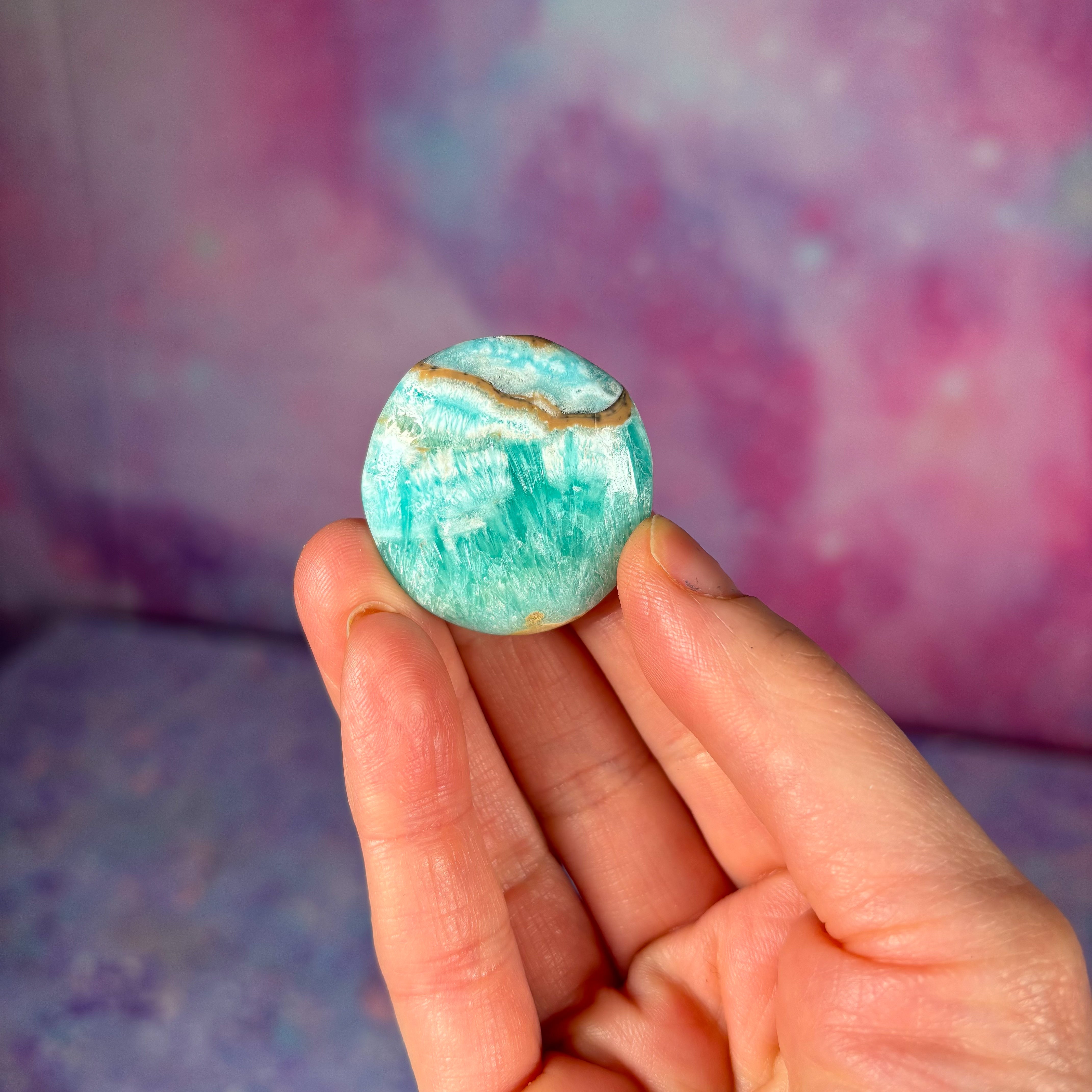 Blue Aragonite Mini Flat Palm