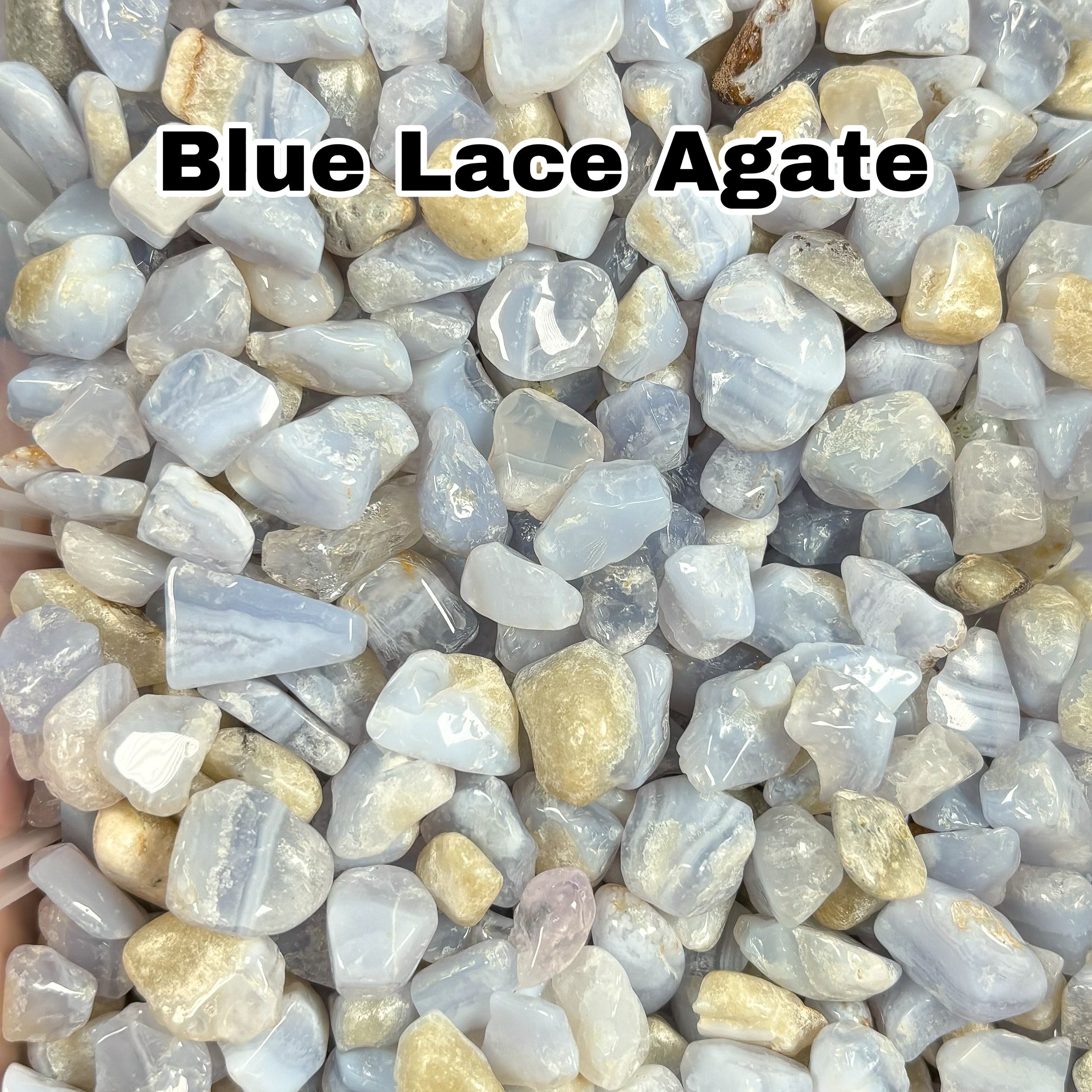 Blue Lace Agate Crystal Chips